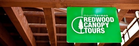 Mount Hermon Redwood Canopy Tours
