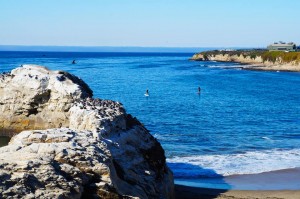 SUP Santa Cruz