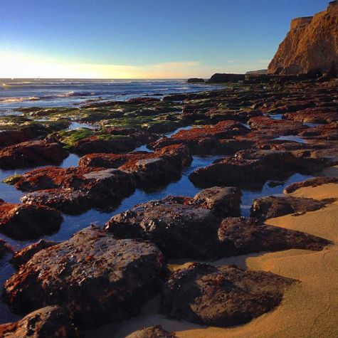 Photo by Instagram Fan, @jabelico