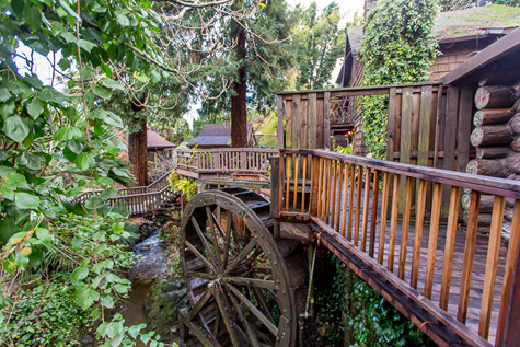The Babbling Brook