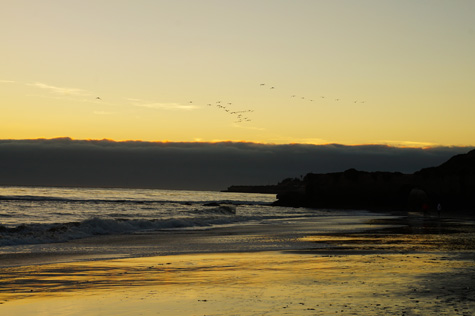 Photo by Rachel Endsley