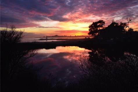 Santa Cruz Yacht Harbor #TT