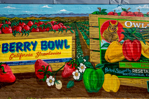 Historic Label Art Mural Project