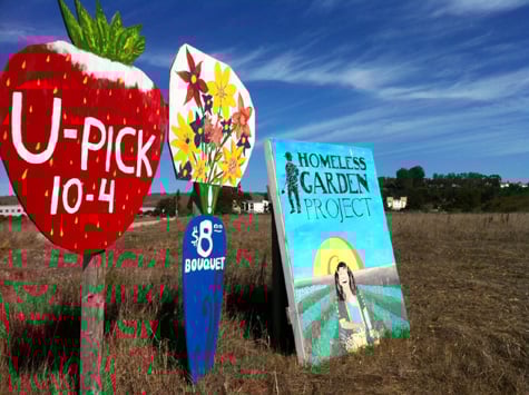 Homeless Garden Project_U-Pick (1)