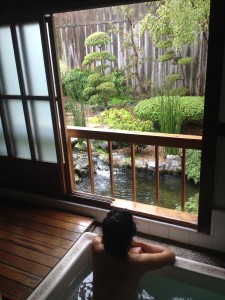 Well Within Spa Santa Cruz