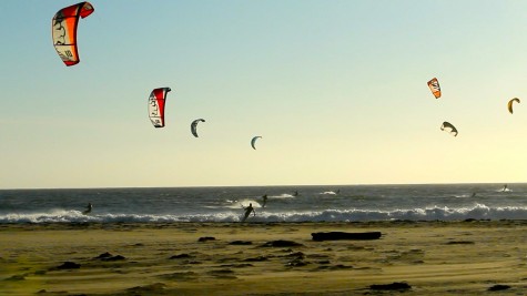 “a carnival of brightly-colored kites on an all-you-can-eat buffet of waves”