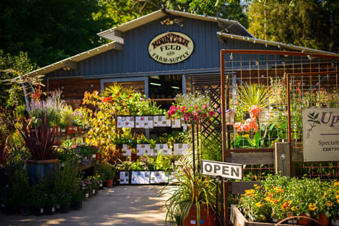 Mountain Feed and Farm Supply_Ben Lomond_Commercial Photography_Stand 2