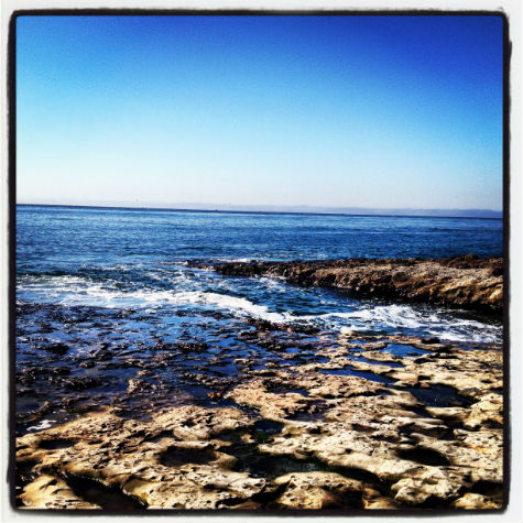 Natural Bridges State Beach