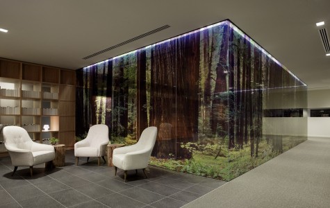 Redwood National Park Hotels Rouydadnews Info Odada Hotel Paradox 05652 E1398795658655 Jpg