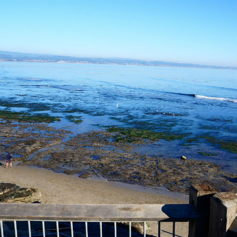 Pleasure Point at Low Tide