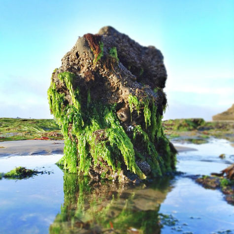 Pleasure Point at low tide by Instagram fan, @gnarchive