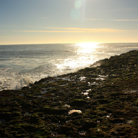 Santa Maria's at sunset