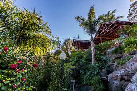 Shadowbrook