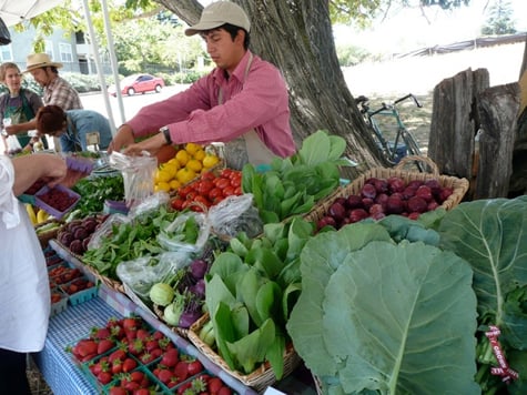UCSC Farm Cart