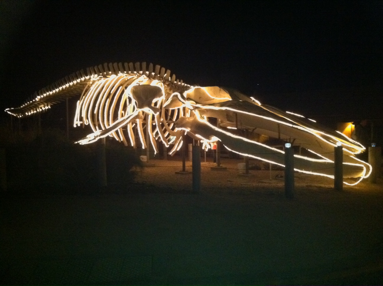 photo-8