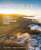 Cover of Traveler's Guide "Symmetry"