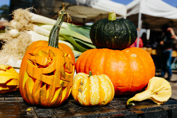 Celebrate Fall in Santa Cruz County