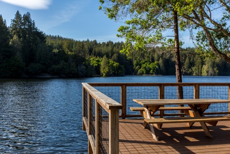 Loch Lomond Santa Cruz S Awesome Hidden Lake Visit Santa Cruz County