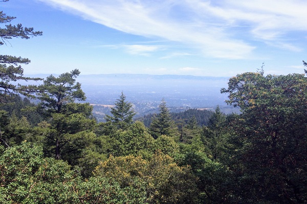  View from Castle Rock