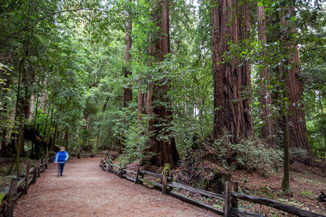 San Lorenzo Valley Itinerary