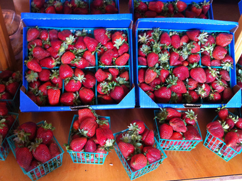 Swanton-Berry-Farms_Strawberries