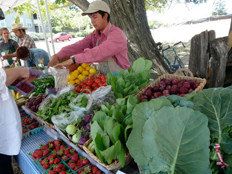 USCS-Farm-Cart
