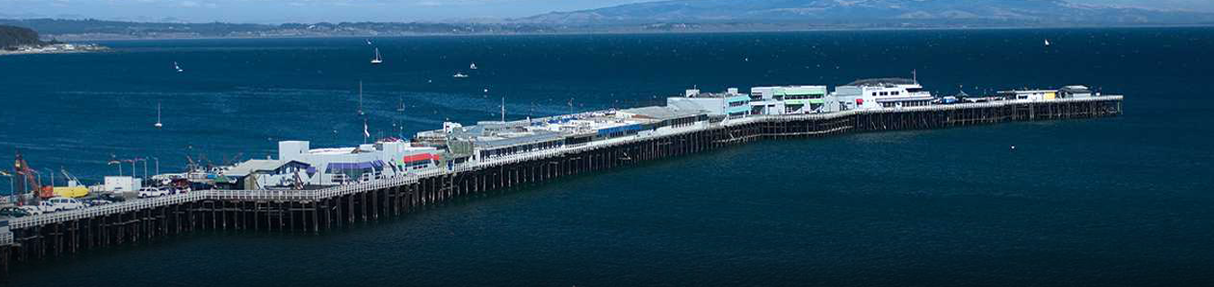 wharf-to-wharf-walk-fastest-known-time