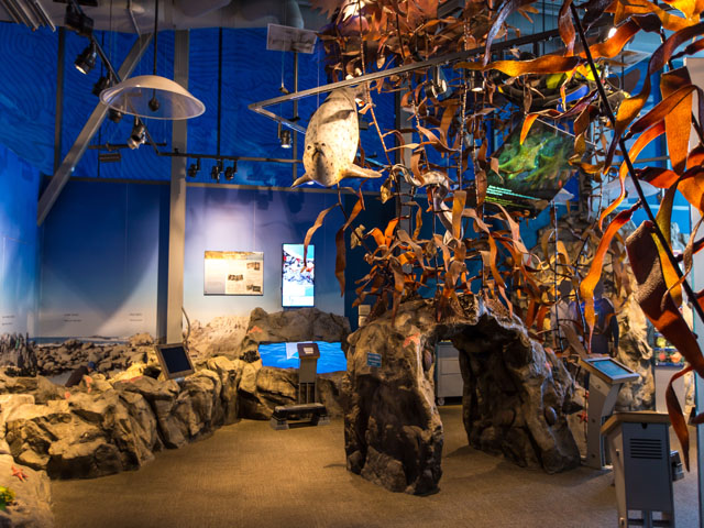 Sanctuary-Exploration-Center.jpg
