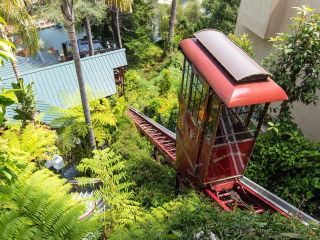 Shadowbrook's red gondola, surrounded by green plants and trees. 