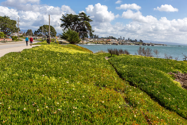 Top 5 Waterfront Walks
