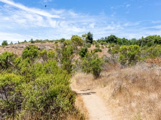 Trail at Glenwood Open Space Preserve