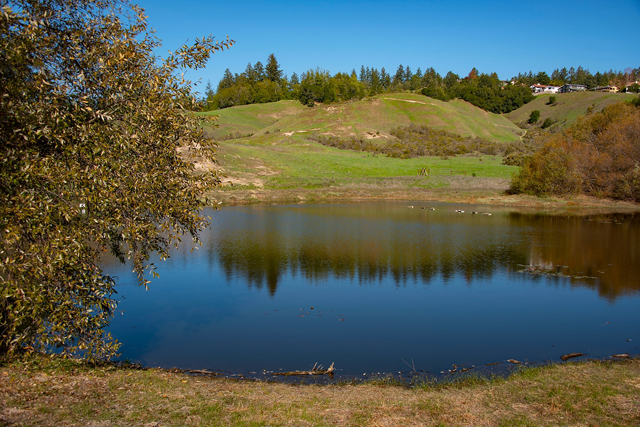 The Pond at Glenwood Open Space Preserve in Scotts Valley California. This photo was taken in December of 2021 and is on the Red Loop Trail at Glenwood.