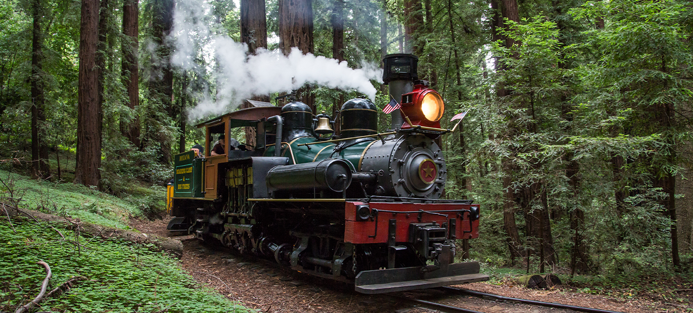 Roaring Camp Railroads