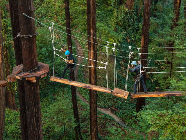 Two people doing a canopy tour through the redwoods at Mount Hermon Adventures.