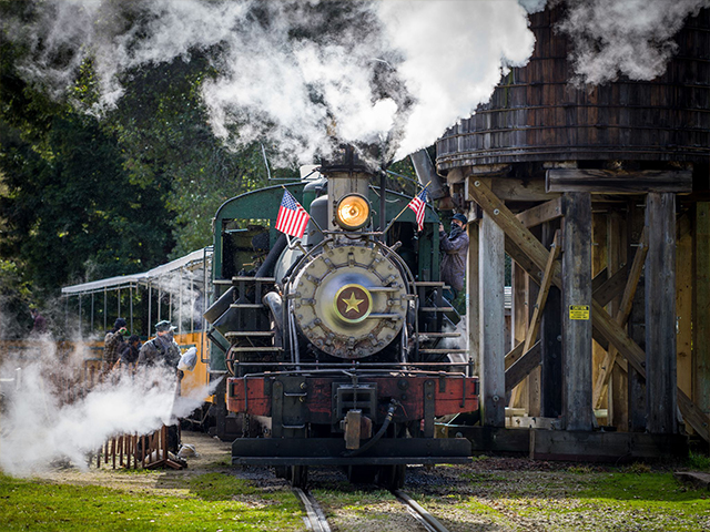 Redwood Forest Steam Train Rides