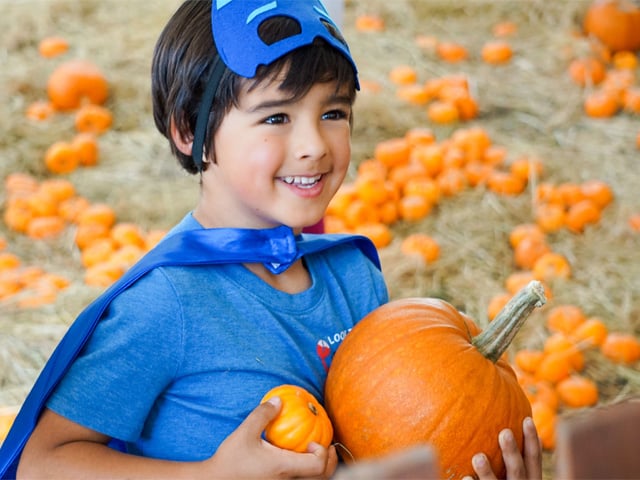 Roaring Camp Railroads Harvest Faire Event Artwork, Young Boy in Pumpkin Patch