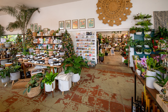 Dig Gardens is a stylish home good and plant shop. There are two locations - one in Santa Cruz and one in Aptos.