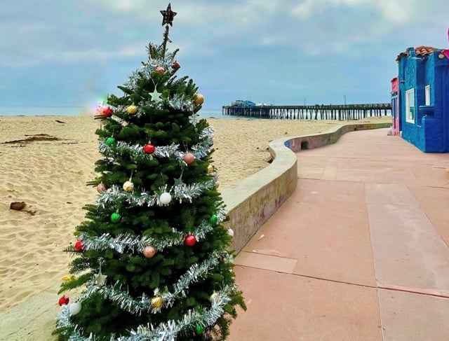 Chaminade Christmas Tree Lot 2022 Celebrate The Holiday Season In Santa Cruz County! - Visit Santa Cruz County