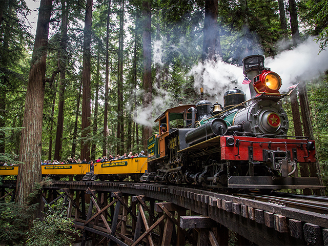roaring camp train on bridge in the forest