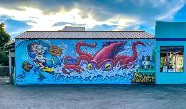 The Sea Walls Murals of Santa Cruz County