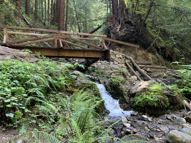Top Waterfalls in Santa Cruz County - Fall Creek in the Redwoods with bridge by Monica Multer.