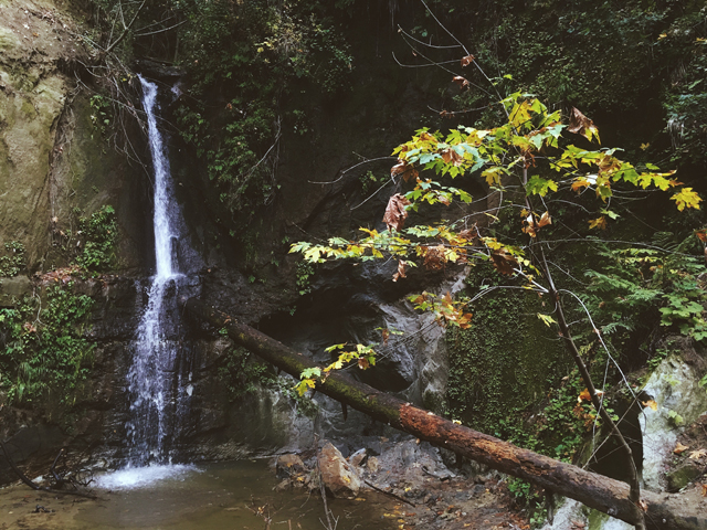 Top Waterfalls in Santa Cruz County - Maple Falls at The Forest of Nisene Marks State Park by Monica Multer.