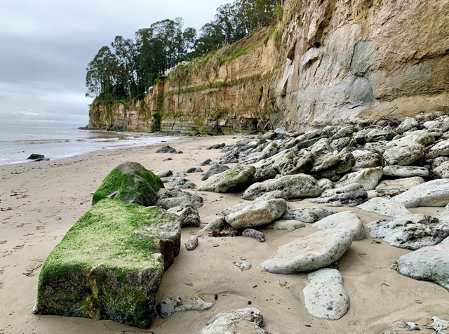 Top Spots to Tide Pool in Santa Cruz County. This shot features tide pools found in Santa Cruz. Location: Capitola Beach and New Brighton.