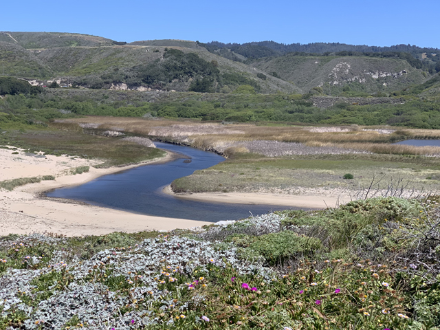 Rugged Beauty: Explore Santa Cruz's North Coast. Laguna Creek - Photo is the creek meeting the beach in Davenport. Photo by Monica Multer.