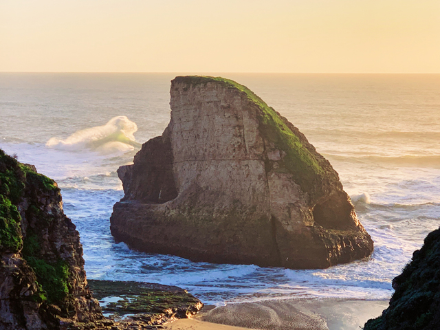 Rugged Beauty: Explore Santa Cruz's North Coast. Shark Fin Cove Beach by Photographer: Monica Multer.