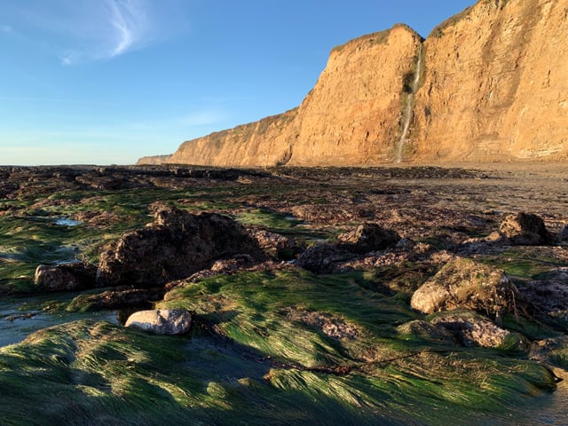 Scott Creek Beach in Davenport, California. This beach has tide pools and a waterfall from the cliffs.