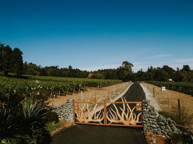 Driveway to Lester Estate Wines