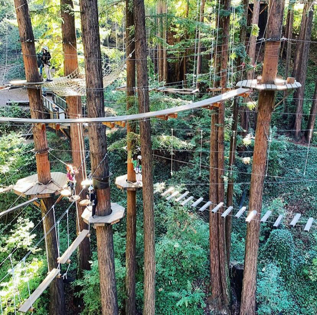 Best of 2021: This Photo is one of the top posts for 2021 on the Visit Santa Cruz County Social Media Channels. This photo is of Mount Hermon Adventures ropes course by Jeanimarie.