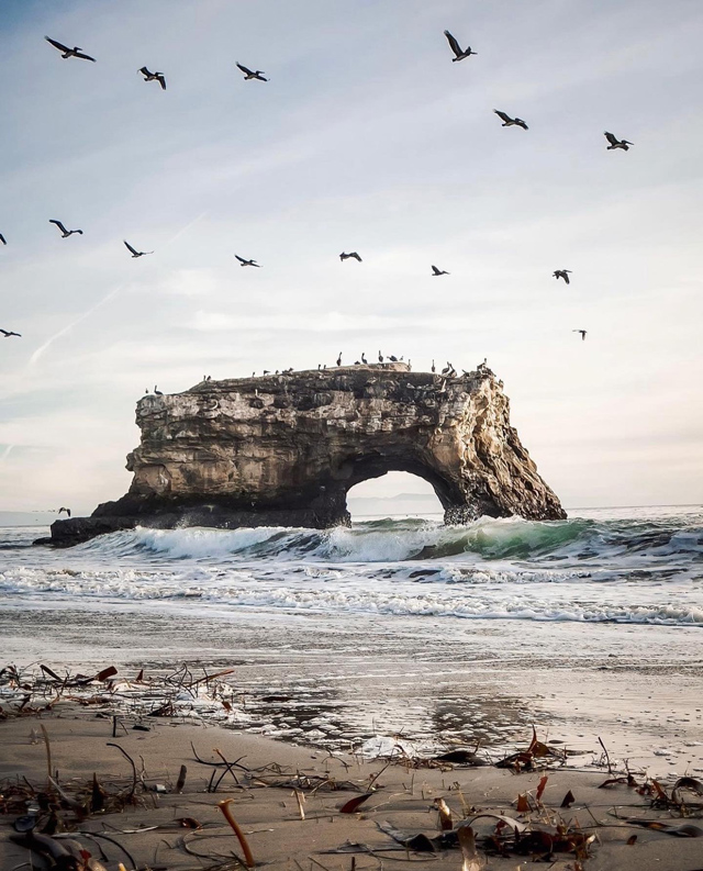 Best of 2021: This Photo is one of the top posts for 2021 on the Visit Santa Cruz County Social Media Channels. This photo is of Natural Bridges State Beach by _jondlc.