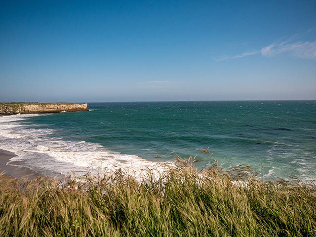 Home - Visit Santa Cruz County